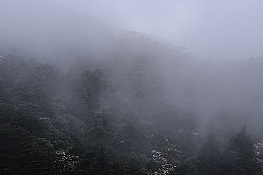 電影《除暴》總投資多少錢？揭秘背后的資金鏈和票房前景