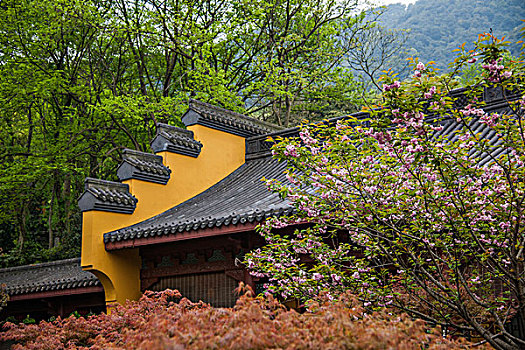 日本請(qǐng)保姆一個(gè)月要多少錢？揭開日本家政服務(wù)的真實(shí)面紗！