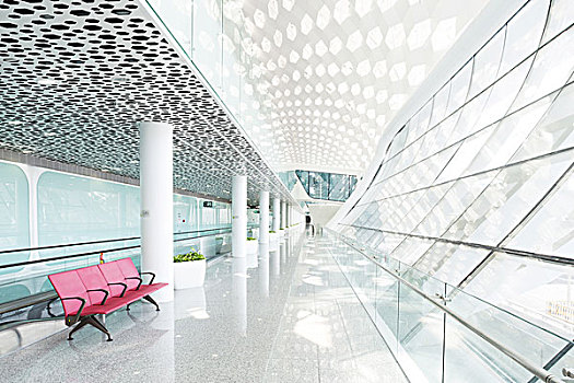 溫暖的抱抱：預測票房的奇跡之旅