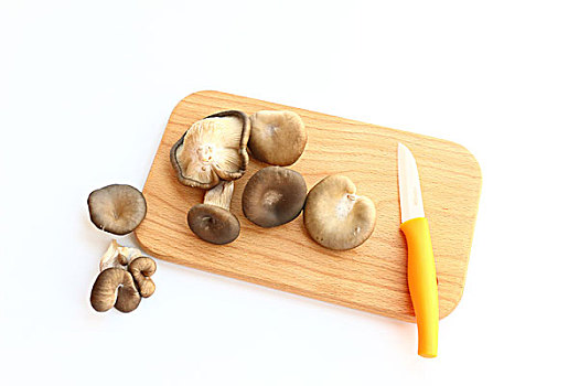 南京請(qǐng)一個(gè)菲傭多少錢？詳細(xì)了解菲傭的費(fèi)用與服務(wù)