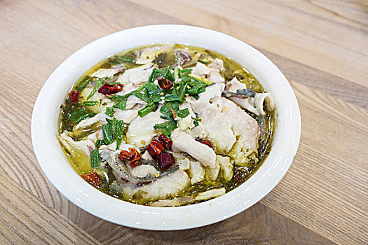 貓咪差不多多少錢？揭開養(yǎng)貓成本的真實面紗