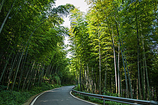 深圳家政市場的蓬勃發展與未來前景