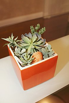 廈門熱水器清洗多少錢？讓你全面了解清洗熱水器的成本與價值