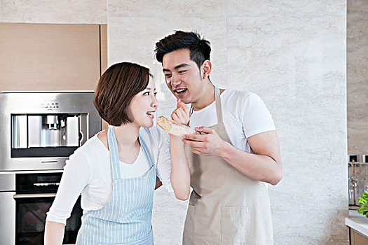 緬因貓多少錢一只？——了解緬因貓的價(jià)格與養(yǎng)護(hù)