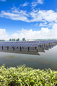 投資電影《除暴》：一次值得把握的機會