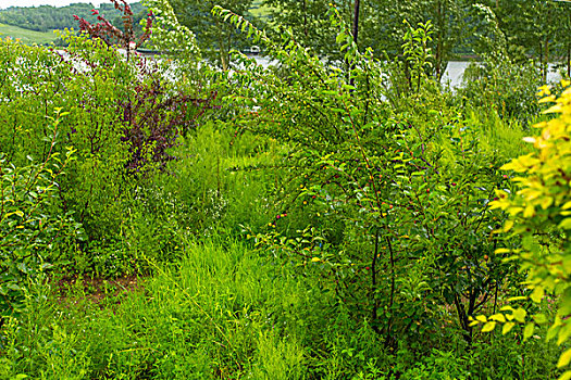 寧波住家保姆工資多少？揭秘寧波住家保姆的薪資待遇與市場趨勢