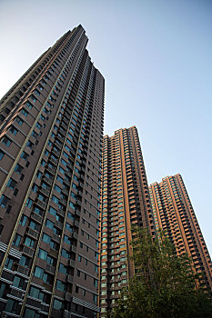 鄭州學保姆要多少錢？學保姆的費用解析及選擇建議