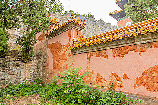重慶家政服務(wù)價(jià)格解析：選擇合適的家政服務(wù)，提升生活品質(zhì)