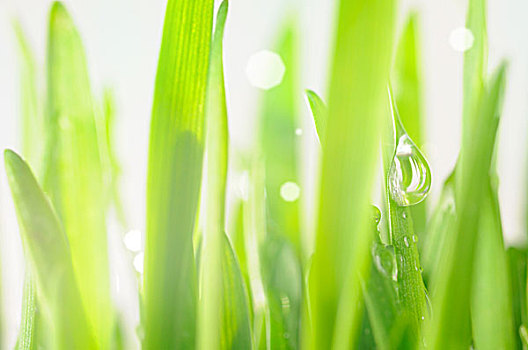 保姆掙多少證——揭秘現(xiàn)代保姆行業(yè)的薪資潛力與職業(yè)發(fā)展