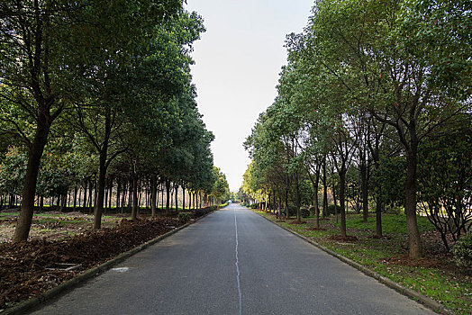 重慶家政工資一般多少錢？揭秘家政行業的薪資和發展前景