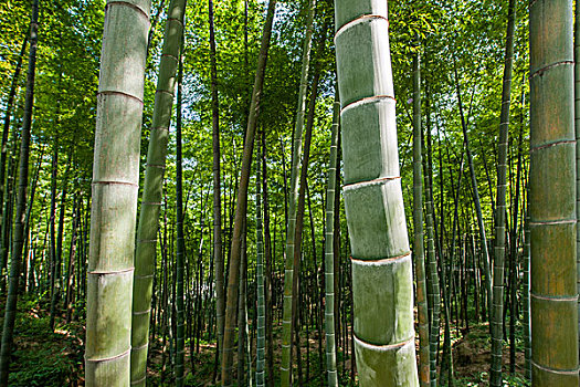 蕭山鐘點工多少錢一小時？揭開鐘點工服務背后的行業秘密
