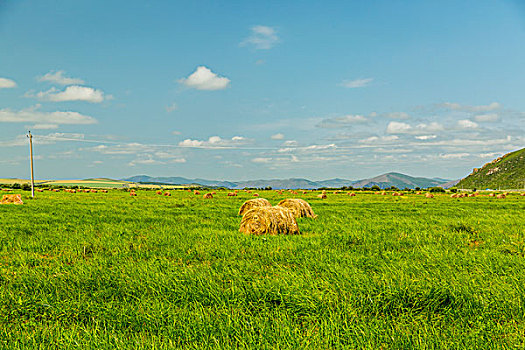 北京住家男護(hù)工多少錢(qián)？揭開(kāi)住家護(hù)工費(fèi)用的真實(shí)面紗