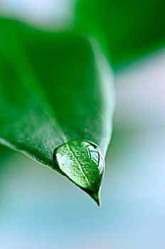 皮衣修補(bǔ)價格多少？讓您的皮衣煥然一新，輕松修復(fù)每一處傷痕