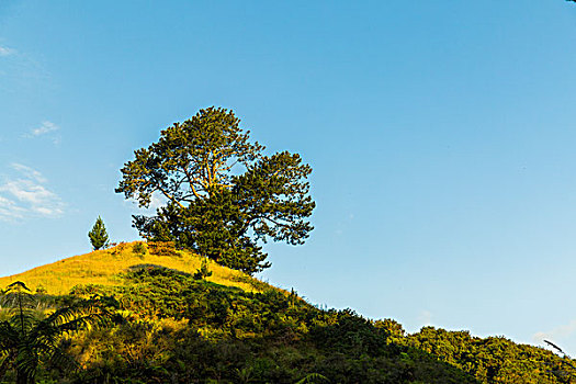天津月嫂多少錢一個月？優(yōu)質(zhì)月嫂服務(wù)助您輕松迎接新生