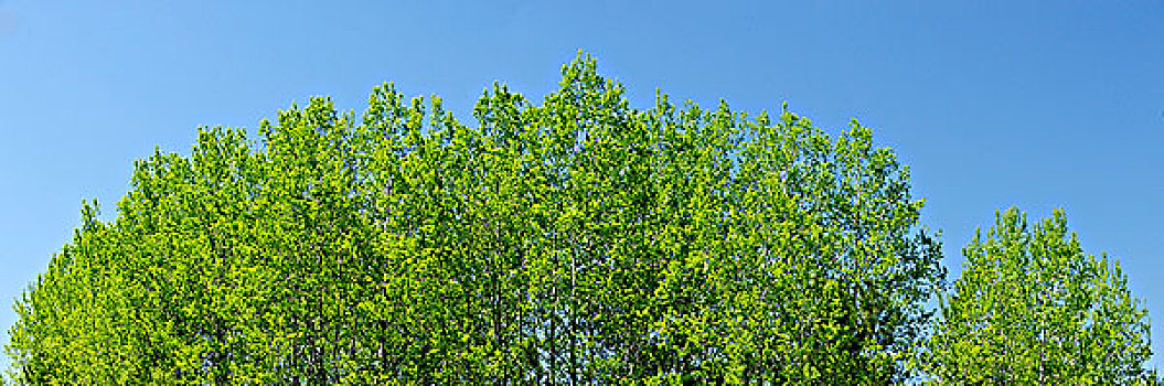 醫(yī)院請個(gè)護(hù)工多少錢？為您揭秘醫(yī)療護(hù)理費(fèi)用的真相！