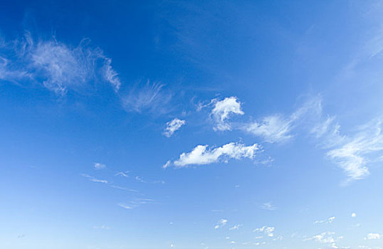 考月嫂證需要多少天？了解考取月嫂證的詳細流程與時間