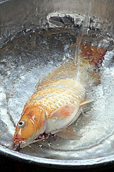 重慶全天保姆多少錢(qián)一天？幫您解答這筆開(kāi)銷(xiāo)背后的價(jià)值