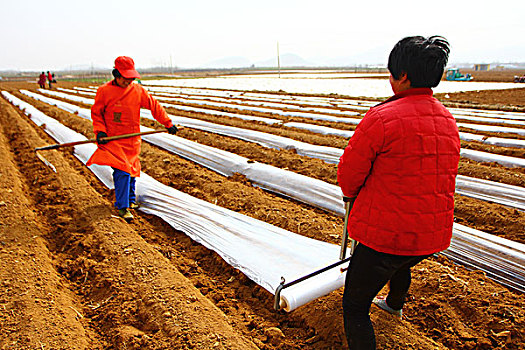 住家?guī)Ш⒆颖Ｄ范嗌馘X(qián)？解析雇傭住家保姆的成本與選擇