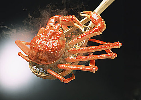 溫暖的抱抱今日票房多少？票房表現(xiàn)震撼，帶你一起走進(jìn)電影的溫馨世界