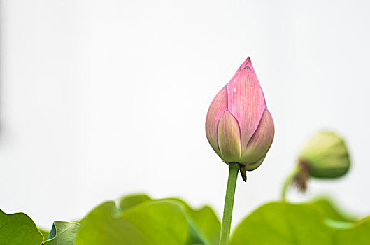 現(xiàn)在月嫂多少一個(gè)月？如何選擇最合適的月嫂服務(wù)？