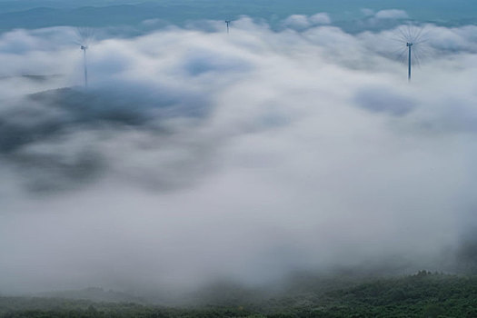 中牟家政公司電話多少？打造您身邊的貼心家政服務