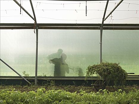 太原保姆一月多少錢？了解保姆服務(wù)費(fèi)用及選擇建議