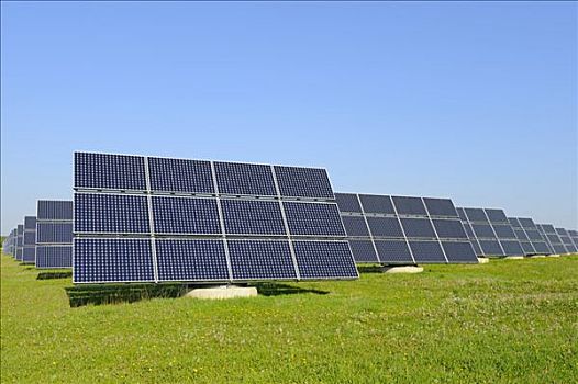 青島白班保姆多少錢？全面解析服務(wù)費用與選擇建議