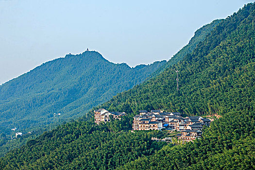 北京家政阿姨多少錢一天？了解市場行情，幫您找到最合適的家政服務