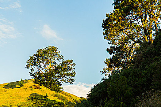 當(dāng)月嫂工資多少？揭秘月嫂行業(yè)薪資與前景