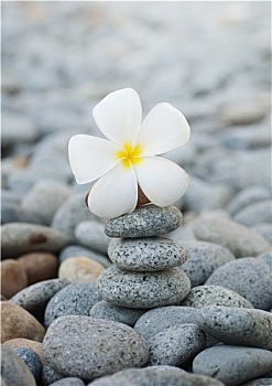 嶗山區(qū)月嫂培訓(xùn)多少錢？讓你輕松掌握月嫂技能，成為高薪月嫂