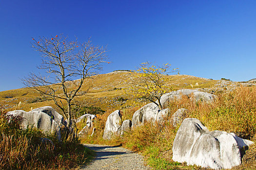 鄒城有多少家政公司？揭秘本地家政行業(yè)的現(xiàn)狀與前景