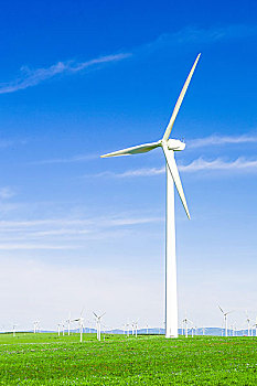 《除暴》票房回本分析：一部硬核電影的市場表現