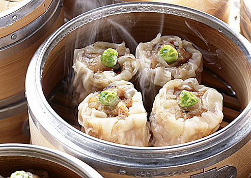 緬因貓一頓能吃多少貓糧？你應(yīng)該知道的這些事