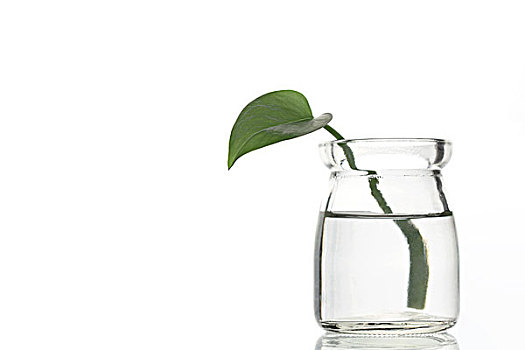 北京做保姆的工資多少？揭秘高薪背后的行業(yè)秘密