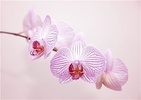 擦玻璃價(jià)格大概多少錢？揭開背后的價(jià)格秘密