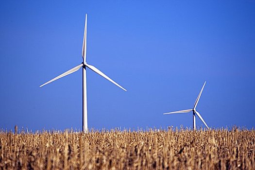 10小時保姆多少錢一月？揭秘保姆服務的真實費用與選擇技巧