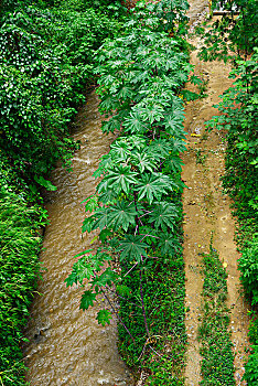 在南平學月嫂有多少錢了？—解密月嫂行業的培訓與就業前景