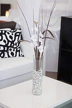 《金剛川花費多少錢？揭秘背后的高額投資與電影制作的巨大成本》