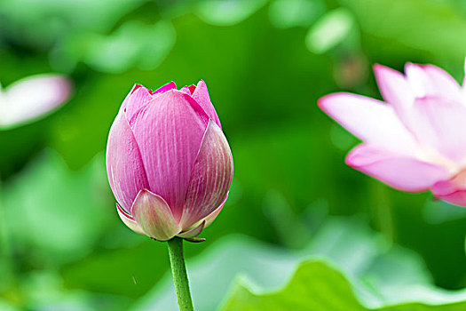 e家政多少錢？揭秘價(jià)格背后的價(jià)值與服務(wù)