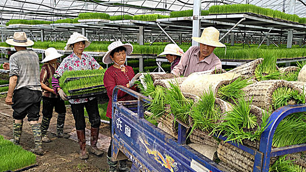 護工一天多少錢？全面解析護工費用及選擇指南