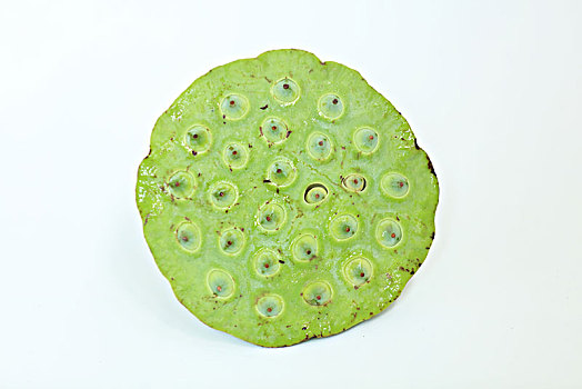 南京看小孩保姆價(jià)格多少？揭秘南京育兒行業(yè)的價(jià)格行情與選擇建議