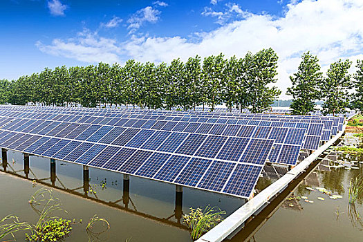除暴電影投資多少？揭秘背后的巨額資金與商業(yè)潛力