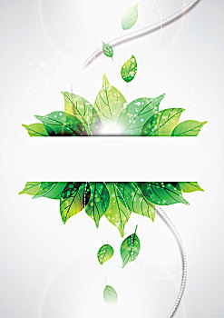 在上海做家政月收入多少？揭秘高收入背后的機(jī)遇與挑戰(zhàn)