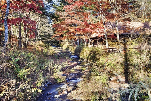 上海學(xué)月嫂大概多少錢？揭秘行業(yè)內(nèi)幕，助你實現(xiàn)職業(yè)夢想