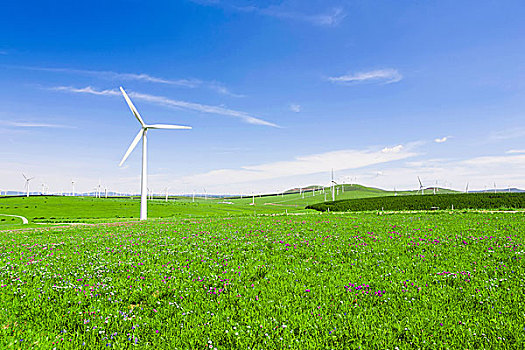 電影《刀尖》成本揭秘：一場視覺與心靈的極致碰撞