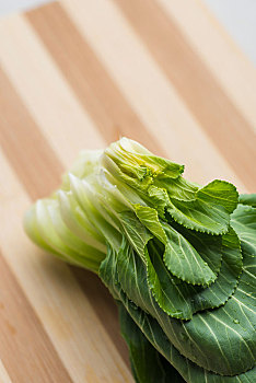 石家莊家政工資多少錢？揭秘石家莊家政行業(yè)的薪資行情與發(fā)展趨勢(shì)