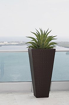 深圳保姆能掙多少錢？揭秘保姆行業的高薪秘密
