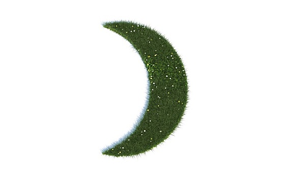上海阿姨一月工資多少？揭開上海家政行業(yè)的薪資秘密