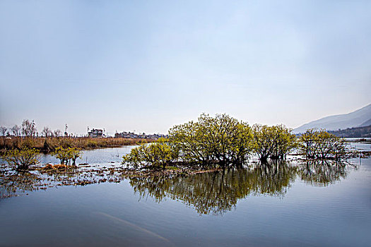上海的育兒嫂工資多少？探究上海育兒嫂行業的薪酬與前景