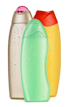 母緬因配種多少錢？了解緬因貓配種的費用與注意事項